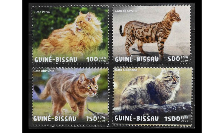 Гвинея-Бисау 2020 г. "Кошки" 