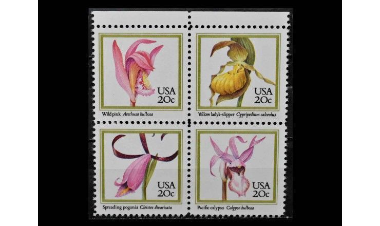 США 1984 г. "Орхидеи" 