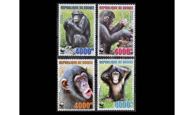 Гвинея 2006 г. "WWF Охрана природы: Шимпанзе" (дефект)