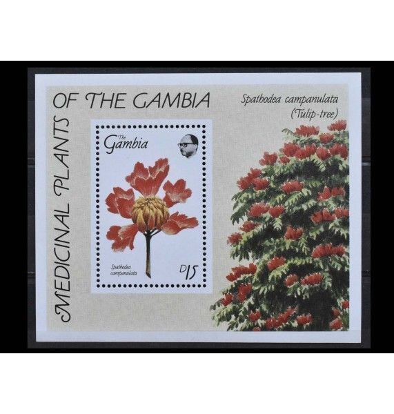 Гамбия 1989 г. "Лекарственные растения"