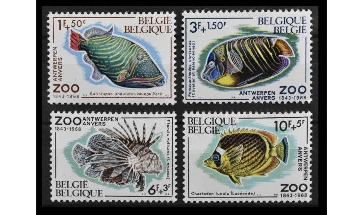 Бельгия 1968 г. "Рыбы"