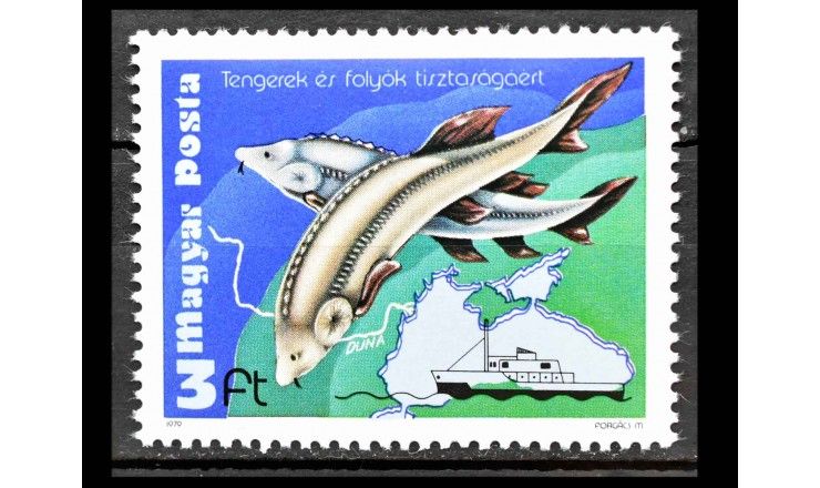 Венгрия 1979 г. "Исследовательское судно "Калипсо"