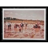 Гамбия 1997 г. "Экономическое развитие"