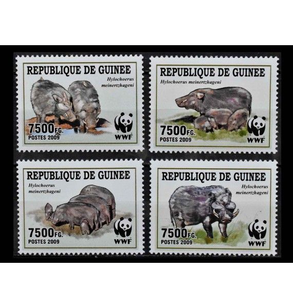 Гвинея 2009 г. "Всемирный фонд дикой природы: Большая лесная свинья"
