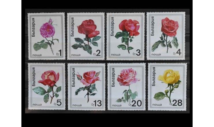 Болгария 1970 г. "Розы"