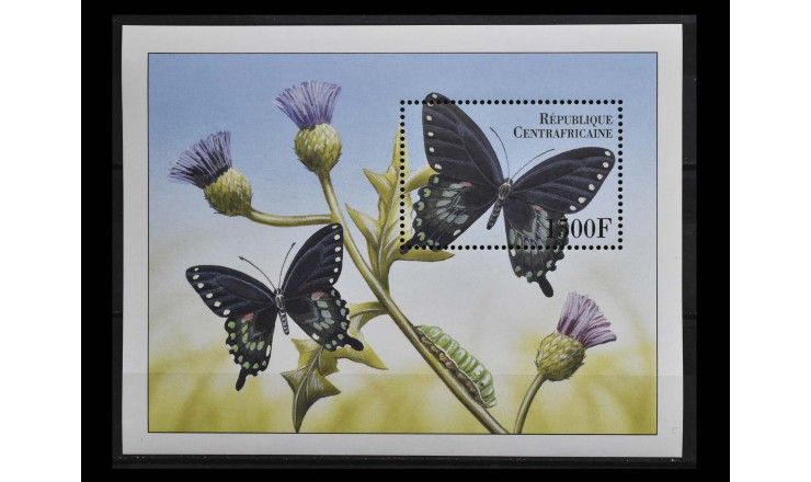 ЦАР 2000 г. "Бабочки"