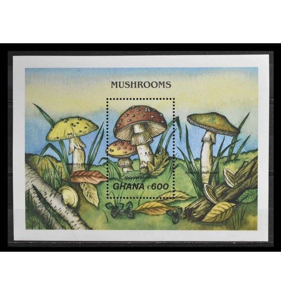 Гана 1989 г. "Грибы"