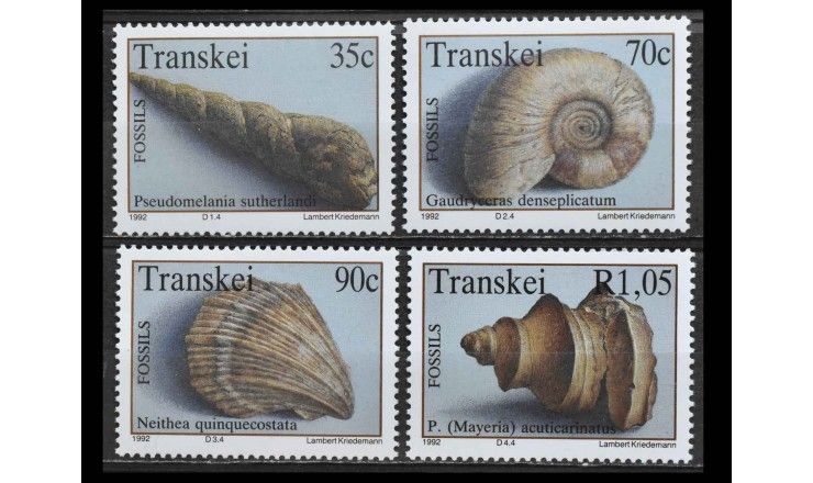 Транскей 1992 г. "Морские окаменелости"