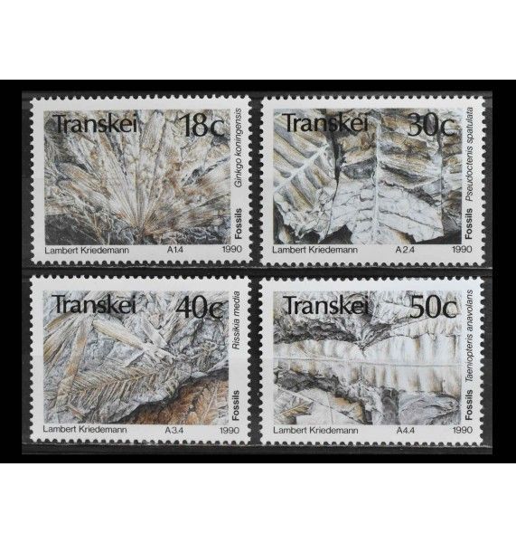 Транскей 1990 г. "Окаменелости растений"