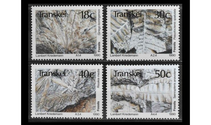 Транскей 1990 г. "Окаменелости растений"