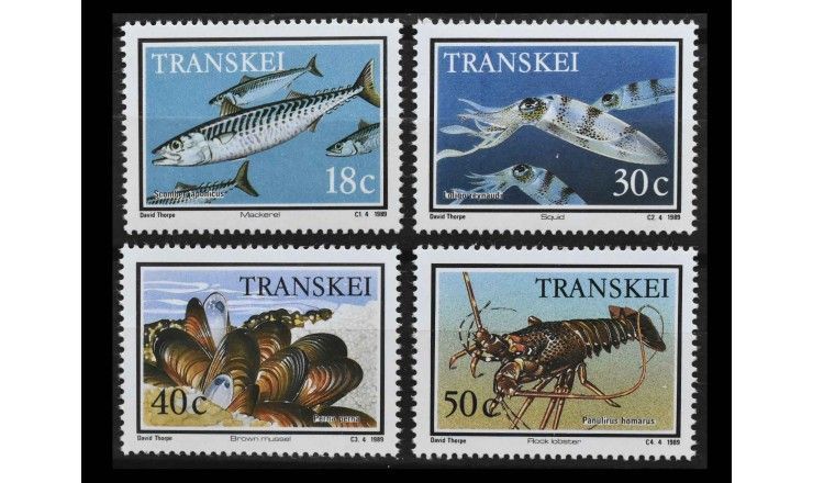 Транскей 1989 г. "Морская жизнь"
