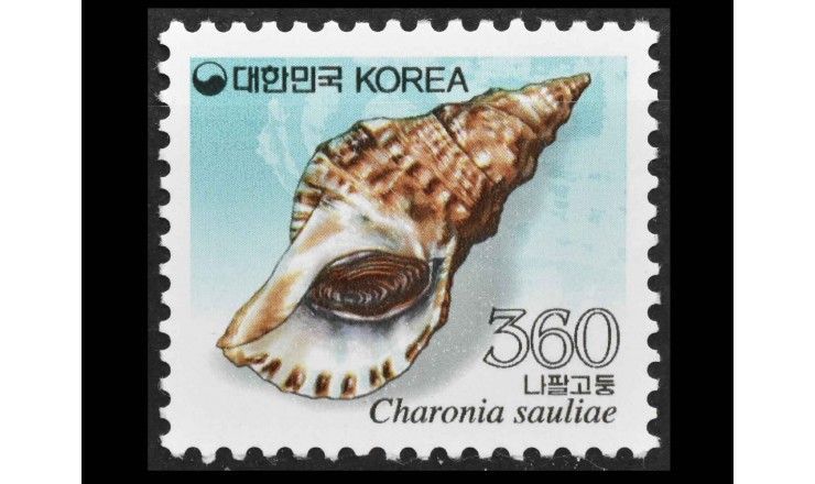 Южная Корея 2011 г. "Морская Улитка"