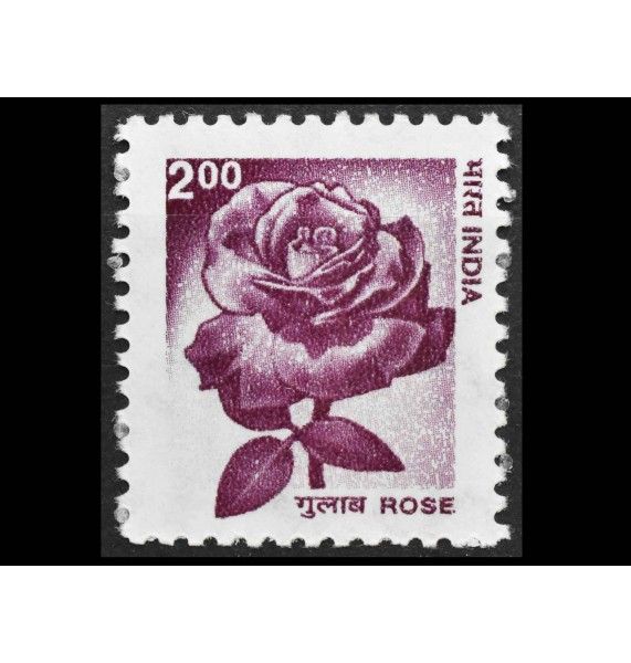 Индия 2002 г. "Роза"