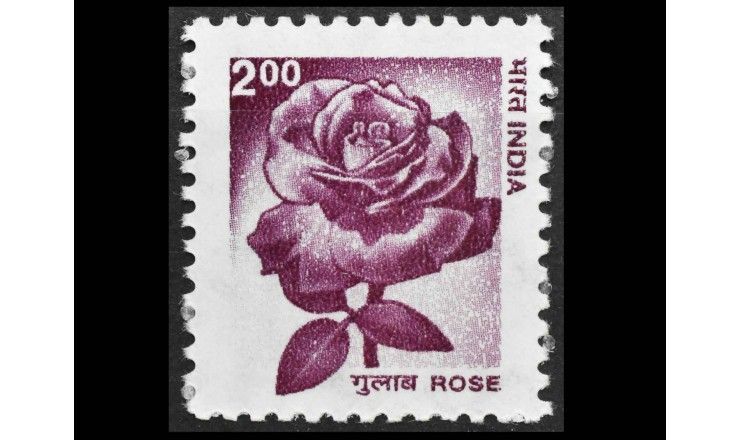 Индия 2002 г. "Роза"