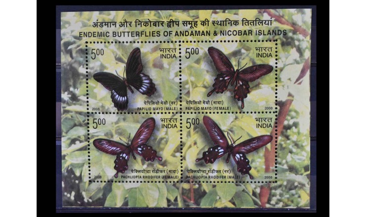 Индия 2008 г. "Эндемичные бабочки Андаманских и Никобарских островов"