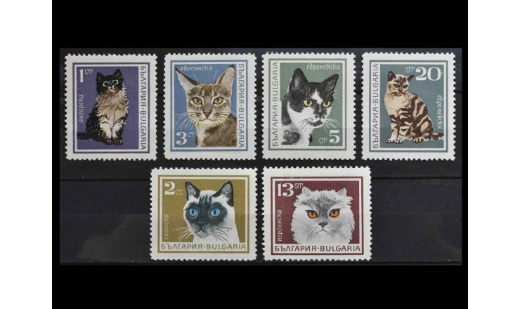 Болгария 1967 г. "Кошки"