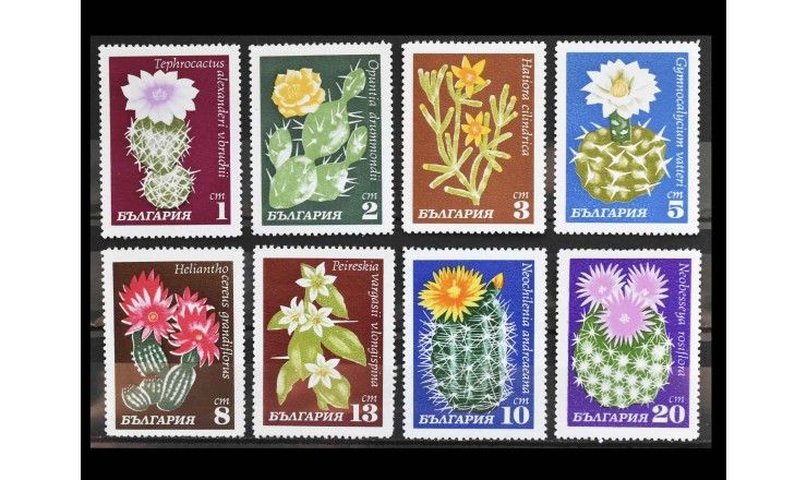 Болгария 1970 г. "Кактусы"