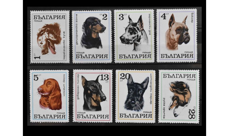 Болгария 1970 г. "Собаки"