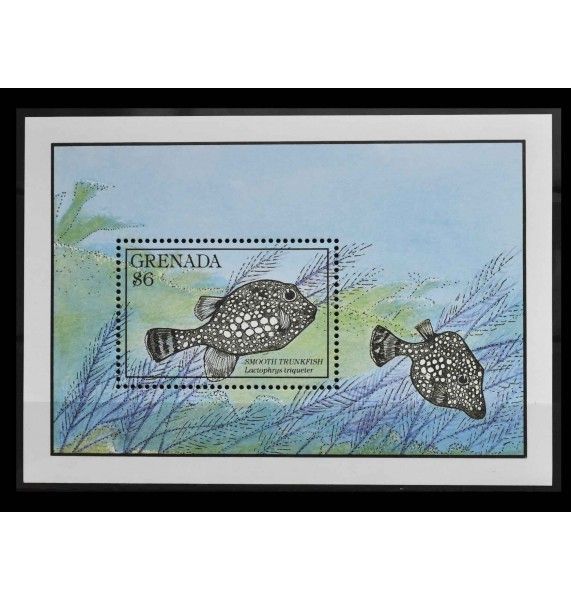 Гренада 1990 г. "Гладкая рыба - хоботок"