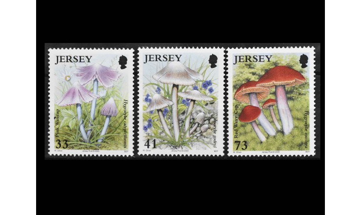 Джерси 2005 г. "Грибы"