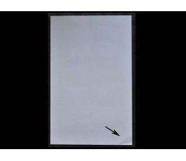 ЮАР 2013 г. "Столетие Порт-Элизабет" (самоклейки)