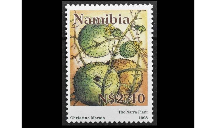 Намибия 1998 г. "Акантосициос ощетиненный"