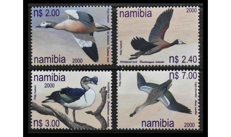 Намибия 2000 г. "Утки Намибии"