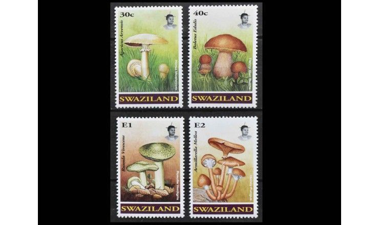 Свазиленд 1994 г. "Грибы"