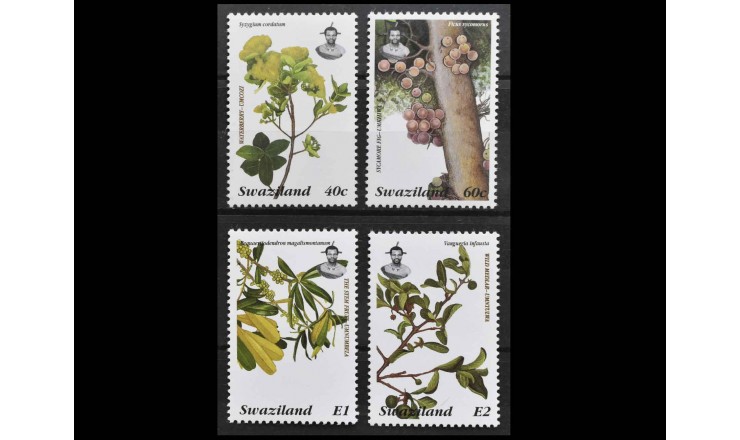Свазиленд 1996 г. "Деревья"