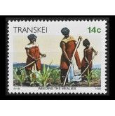 Транскей 1986 г. "Прополка"