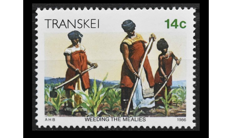 Транскей 1986 г. "Прополка"