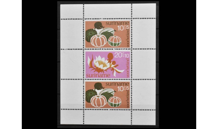 Суринам 1974 г. "Социальное обеспечение детей"