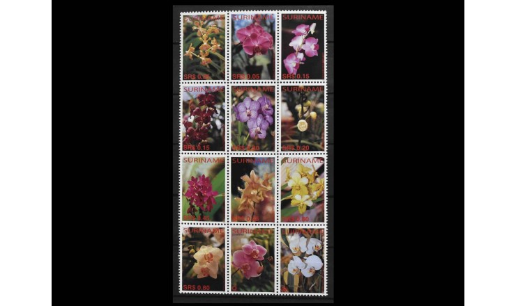 Суринам 2005 г. "Орхидеи"