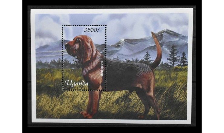 Уганда 2001 г. "Собаки"