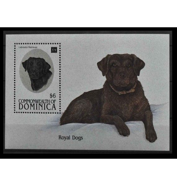 Доминика 1994 г. "Лабрадор-ретривер" Доминика 1994 г. "Лабрадор-ретривер"