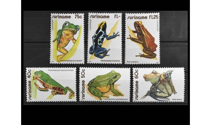 Суринам 1981 г. "Лягушки"