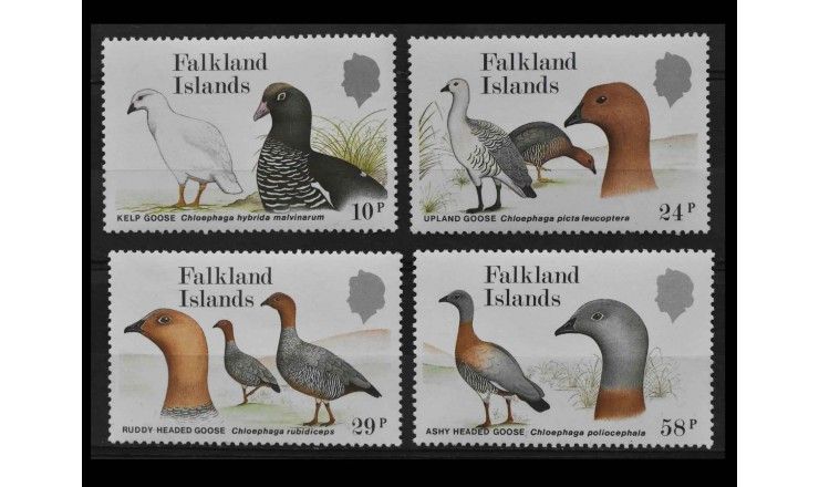 Фолклендские острова 1998 г. "Гуси"