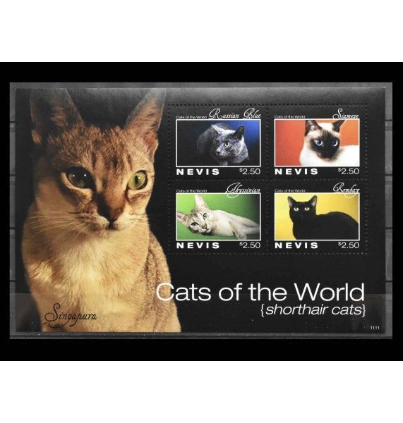 Невис 2011 г. "Кошки"