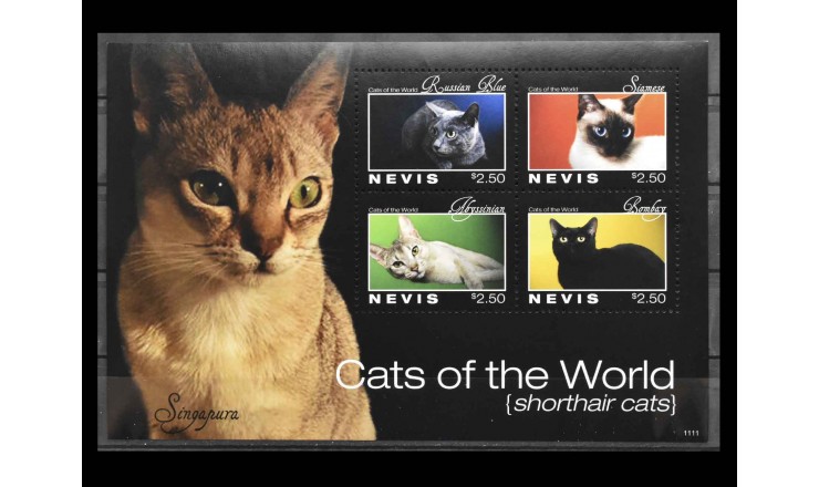 Невис 2011 г. "Кошки"