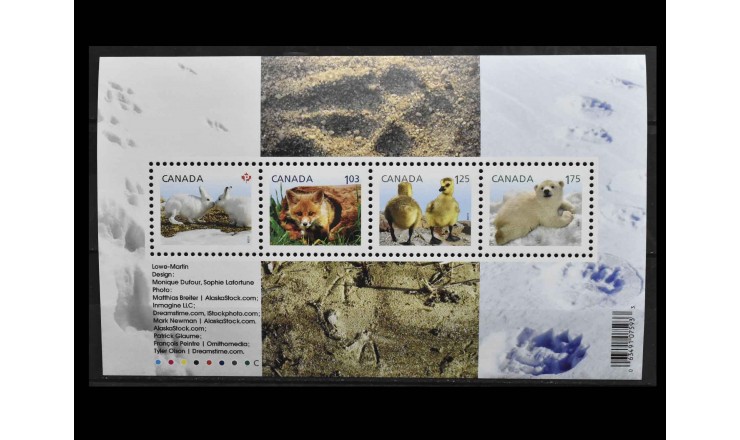 Канада 2011 г. "Молодая дикая природа"