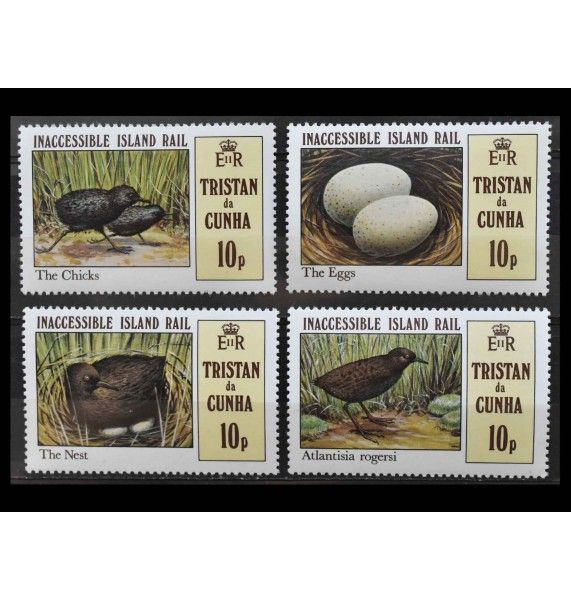 Тристан-да-Кунья 1981 г. "Тристанский пастушок"