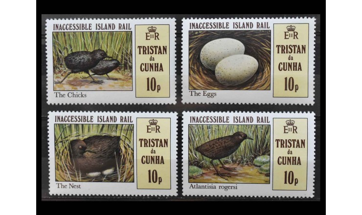 Тристан-да-Кунья 1981 г. "Тристанский пастушок"