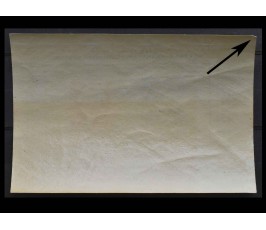 США 1947 г. "100 лет почтовым маркам США"