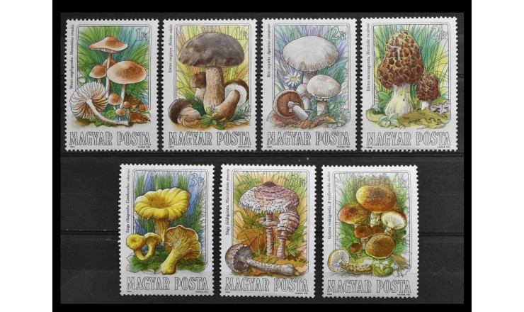 Венгрия 1984 г. "Грибы"
