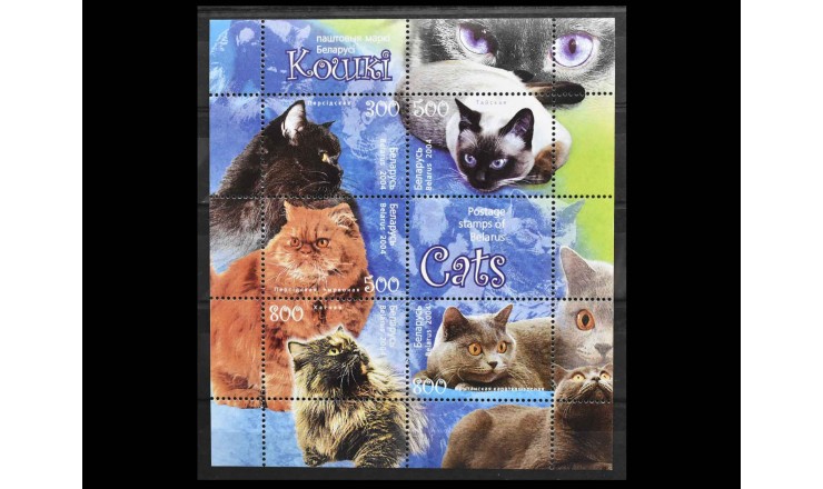 Белоруссия 2004 г. "Кошки"