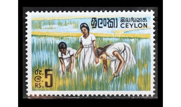 Цейлон 1969 г. "Уборка риса"