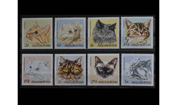 Венгрия 1968 г. "Кошки"