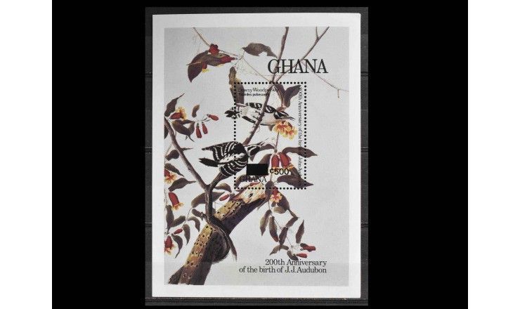 Гана 1985 г. "200-летие Джона Джеймса Одюбона, Птицы" (надпечатка)
