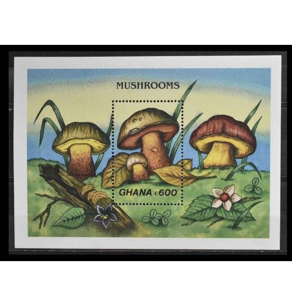 Гана 1989 г. "Грибы"