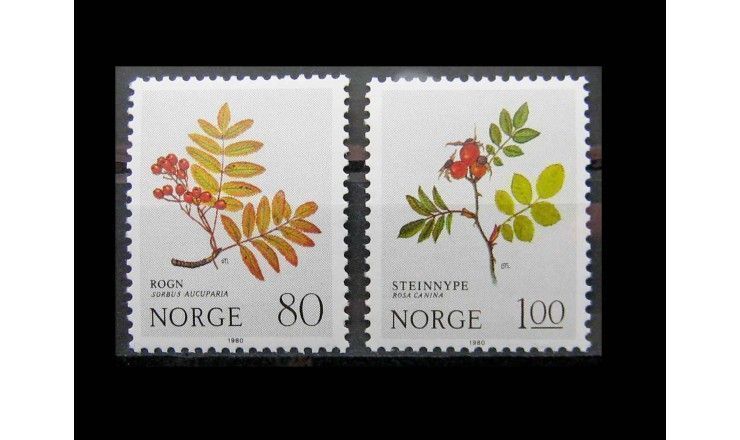 Норвегия 1980 г. "Рождество: Розоцветные"